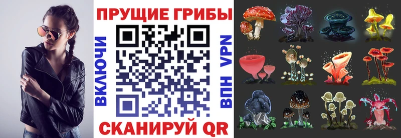 Псилоцибиновые грибы мухоморы  Купить  Алагир 